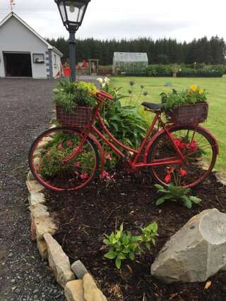 Отели типа «постель и завтрак» LYNTOM HOUSE B&B Лимерик-1